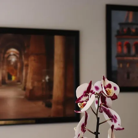 ホテル レシタル 3*