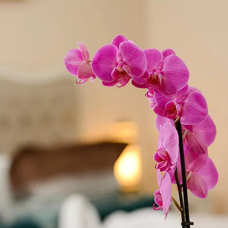 Recital Hotel